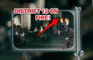 onfire-d12.jpg LeakyNews.com The Hunger Games