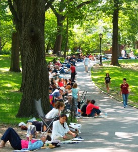 Shakespeare in the Park Line